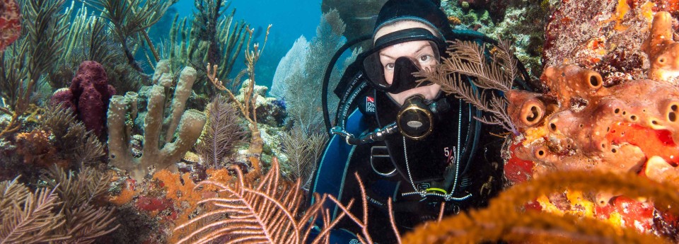 Open Water Instructor