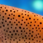 Banner1