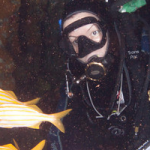 Banner2