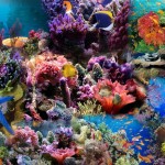 Underwater-Background.jpg