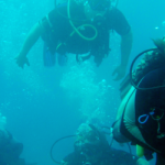 Open Water Instructor