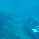 Underwater Archeologist