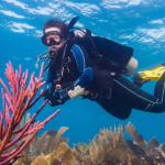 Open Water Certification