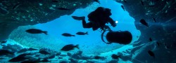 Scuba World offers many certification courses